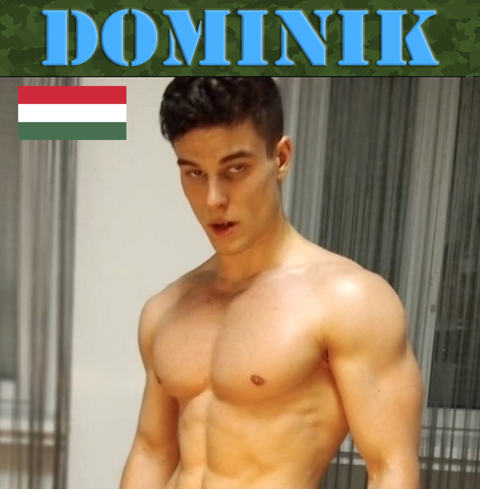 owl-carousel-video-image